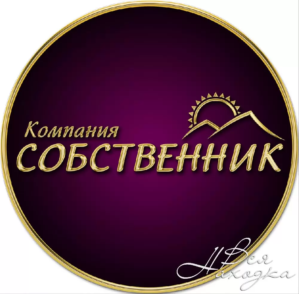 Собственник ооо. Like_sobstvennik.