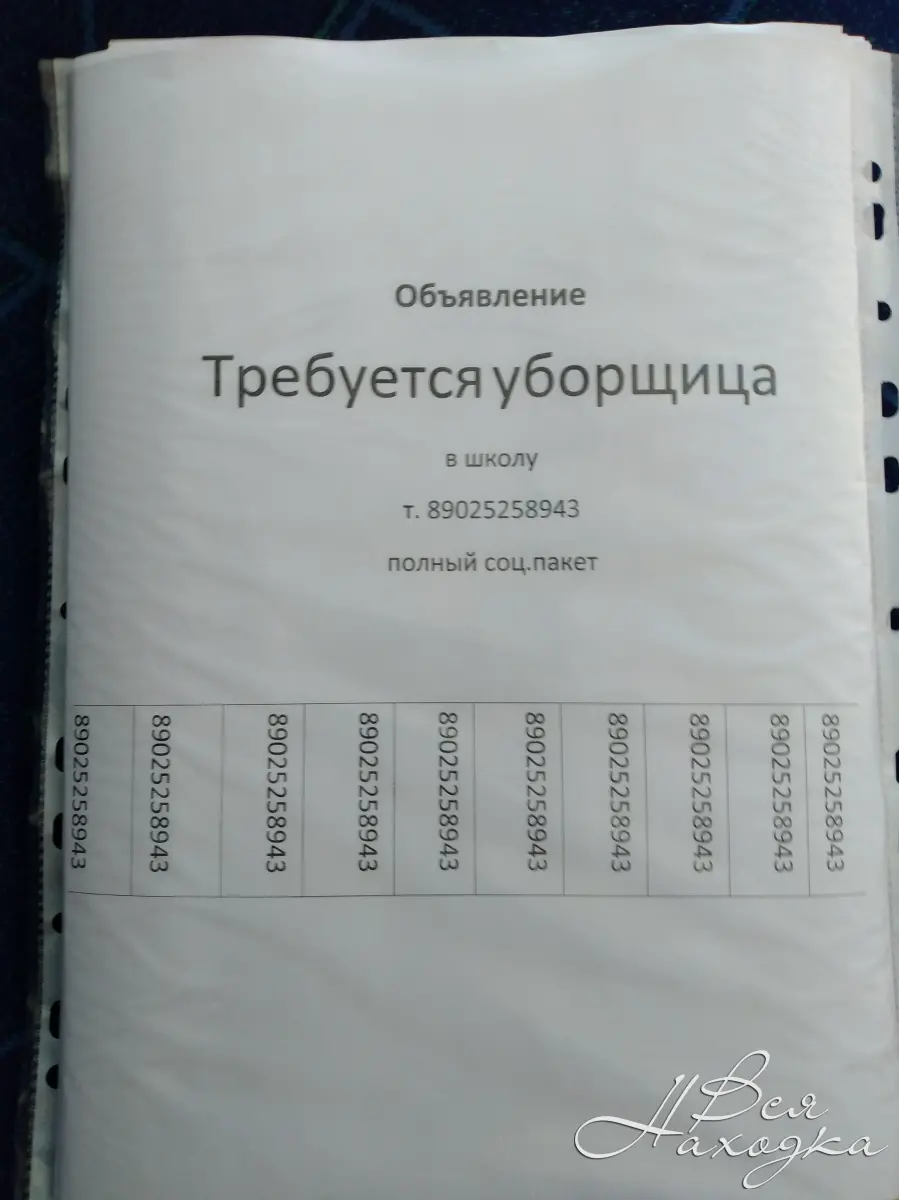 Уборщица в школу - Вся Находка - справочник предприятий города Находка