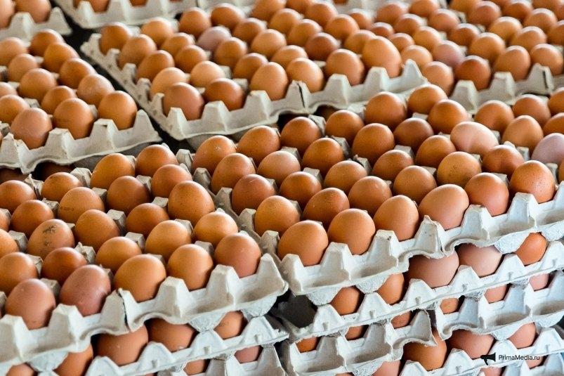 Компания известного депутата Приморья создаст новое производство яиц