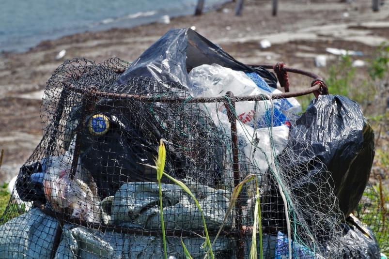 На защите природы: как суд решил вопрос о загрязнении бухты Соболь